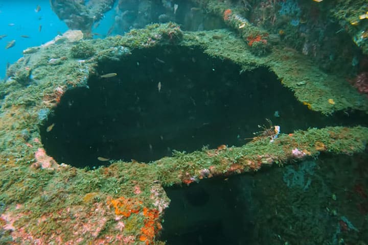 Diving in the deep sea