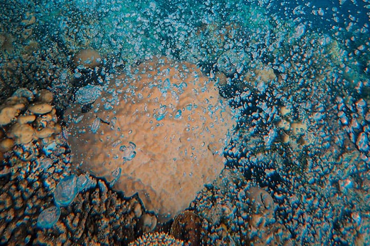 Bubble reef