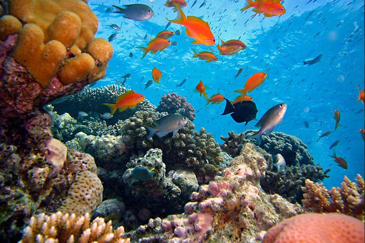 Kanawa island