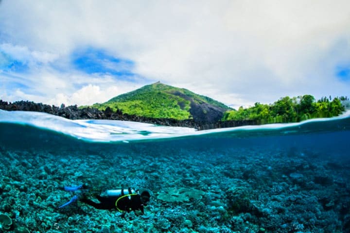 Diving in the sea