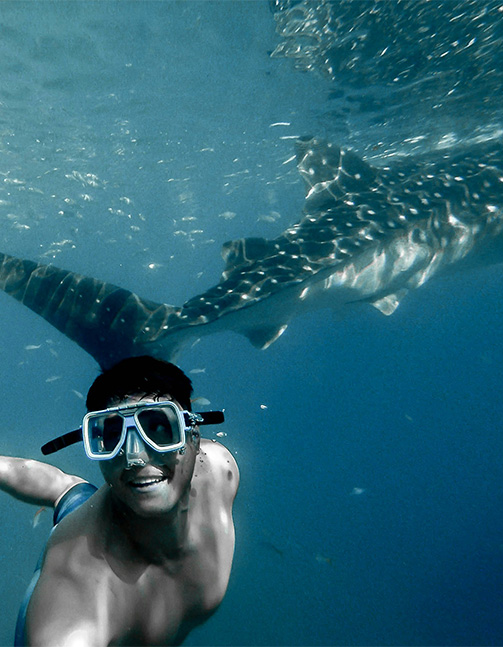 diving-with-whale-shark Diving with whale sharks