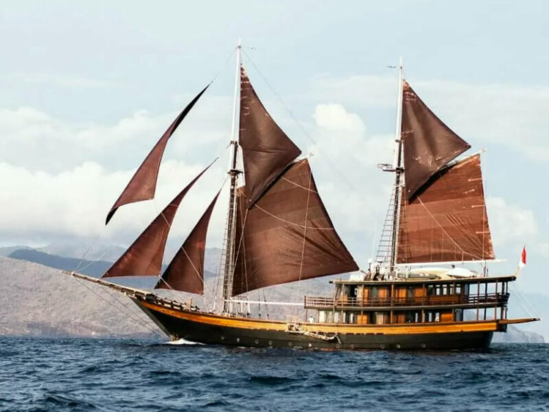 dunia baru cruise
