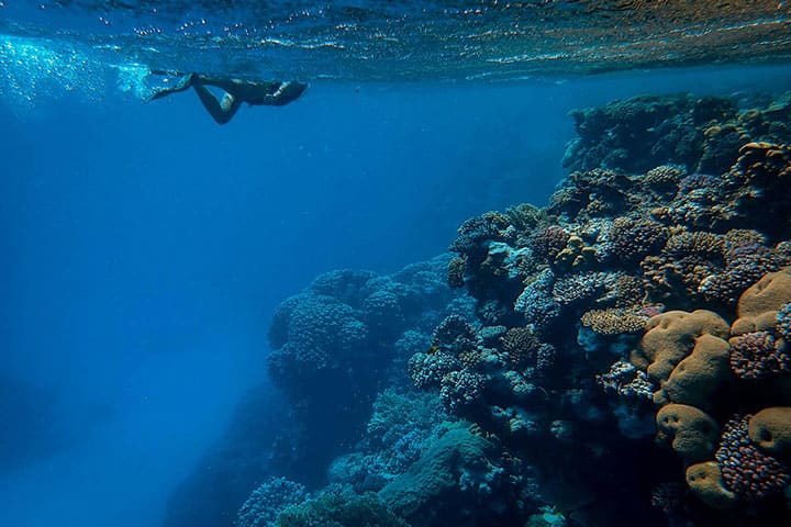 Diving in the deep sea