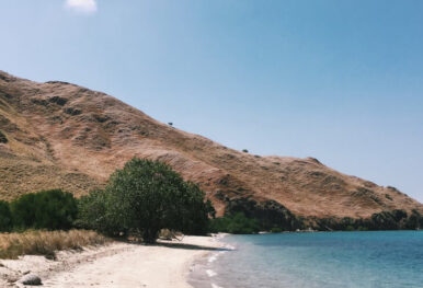 komodo island sailing season