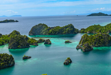 life of raja ampat and komodo