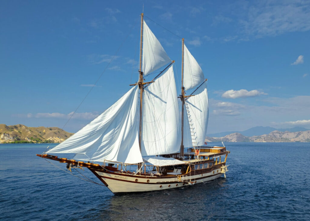 nataraja cruise