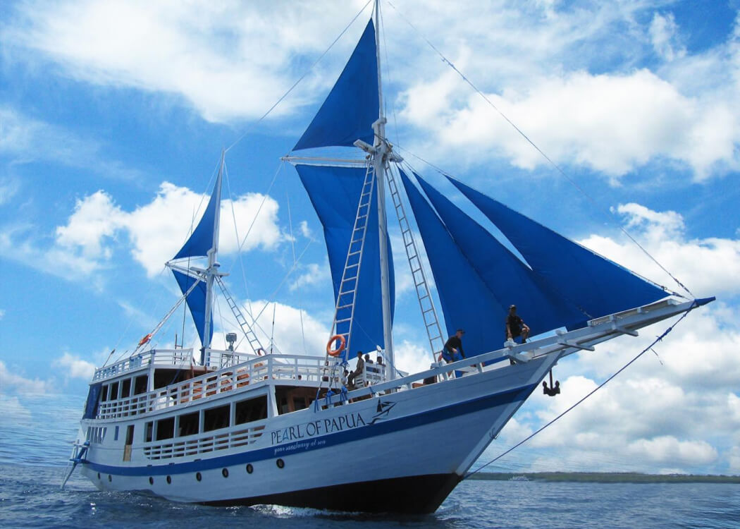 Pearl of papua cruise