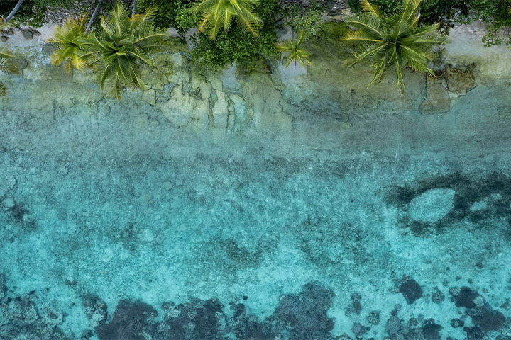 raja-ampat-cape-kri Raja ampat cape kri