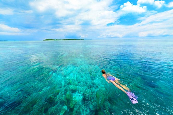 Diving in the sea
