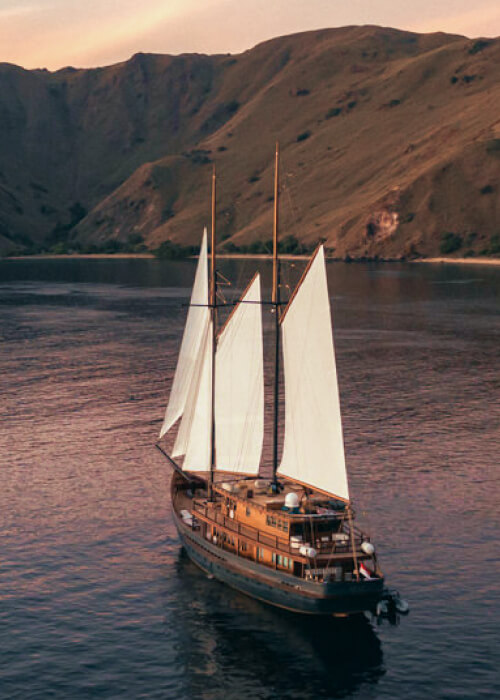 sail-cruise sail cruise