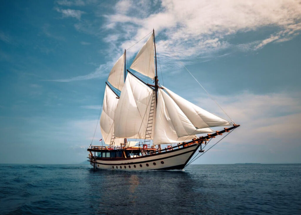 senja cruise