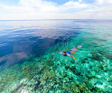 Diving in the sea