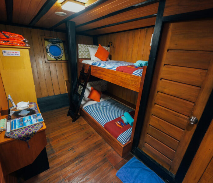 1-cabin-with-1-bunk-bed