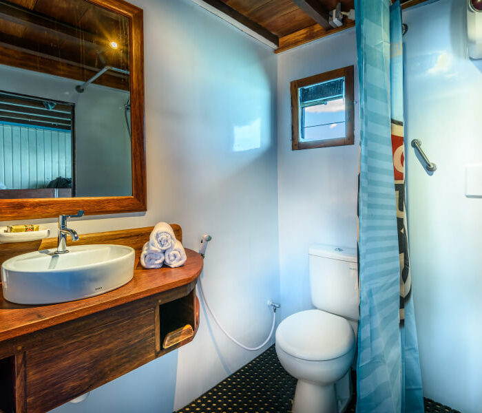 deluxe-cabin-bathroom