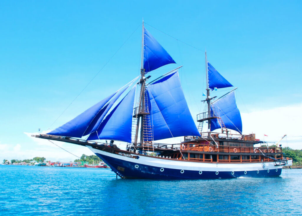 sea safari 8 cruise