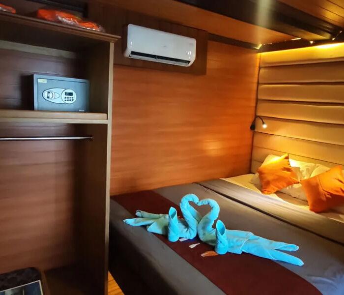 sea safari 8 niddle deck double bed cabin