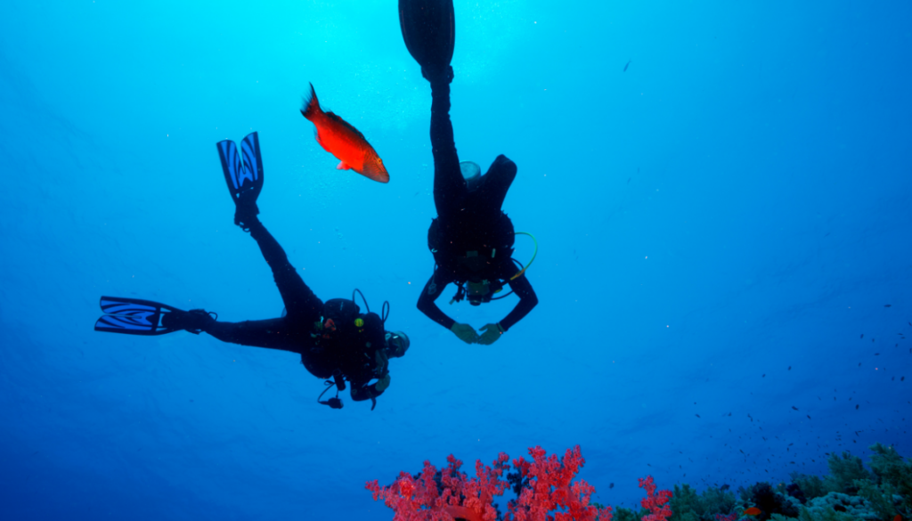 diving 
