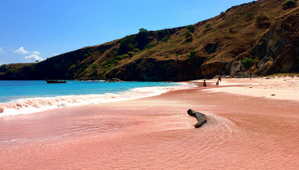 komodo island 