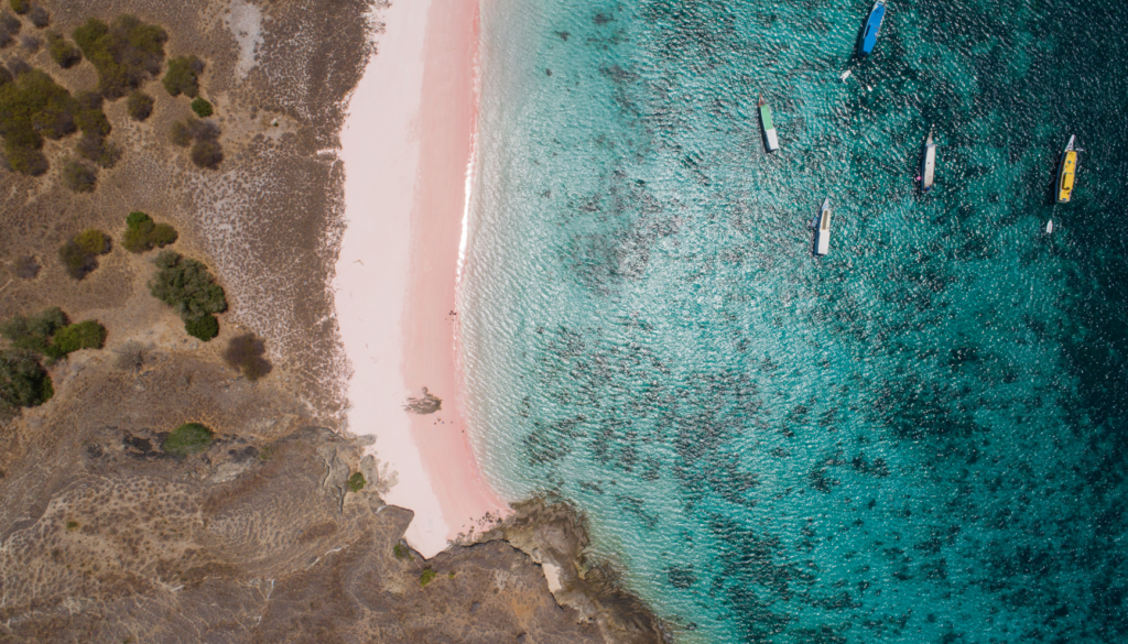 top dive spot in komodo island