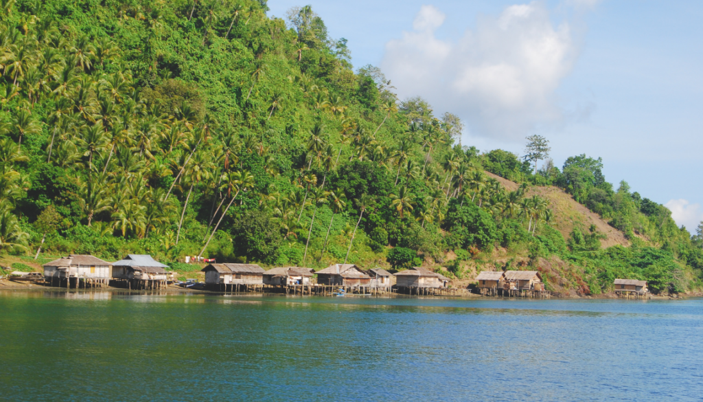 Bajau