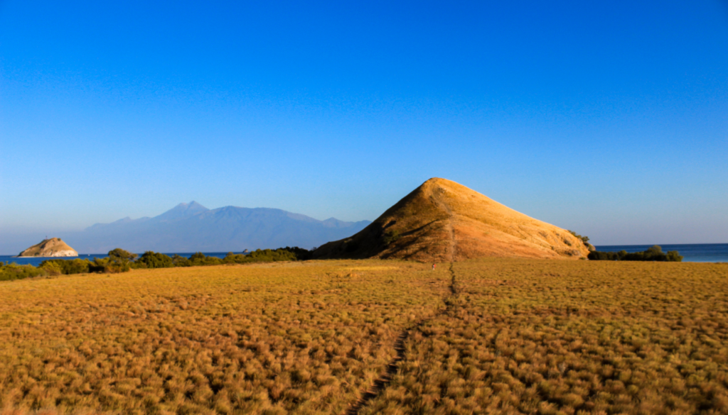 book a sumbawa liveaboard