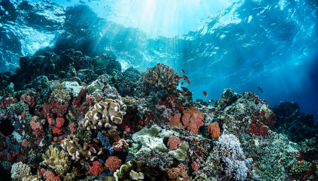 liveaboard routes