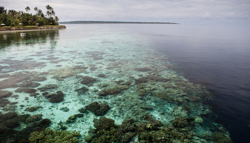 wakatobi indonesia