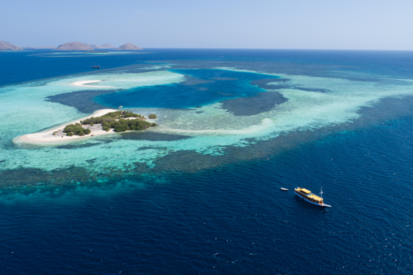 luxury liveaboard indonesia