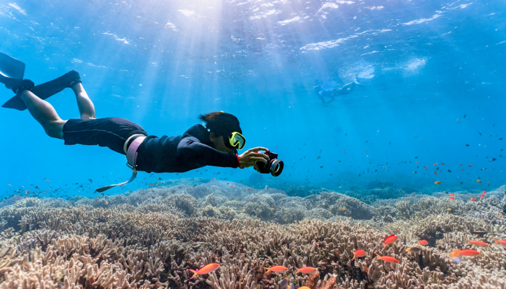 raja ampat liveaboard