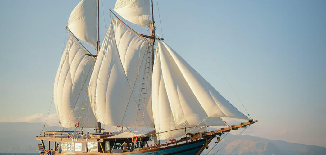 dewata cruise