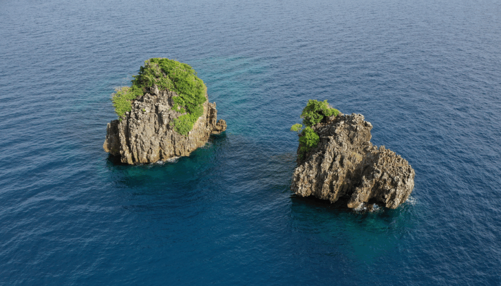 diving in raja ampat and komodo