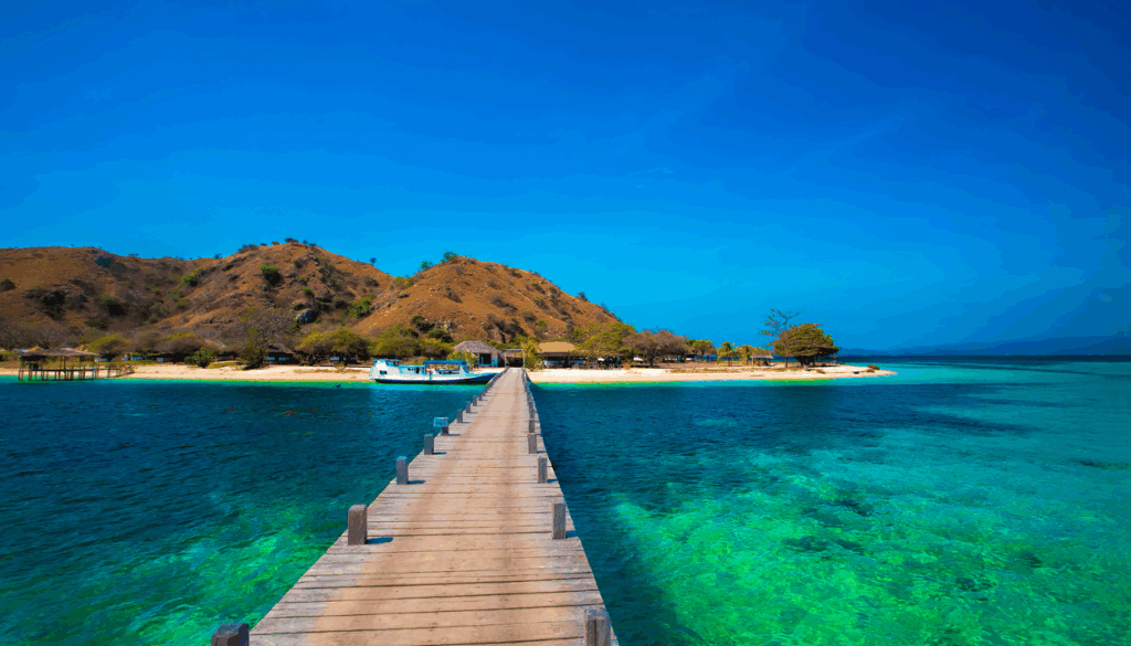 diving in raja ampat and komodo (2)