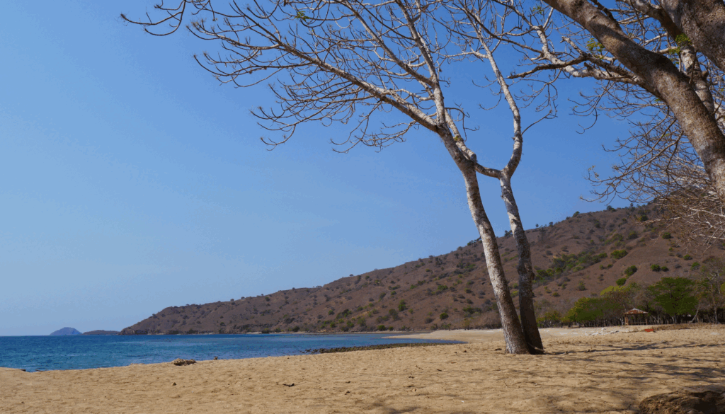 komodo island best time visit