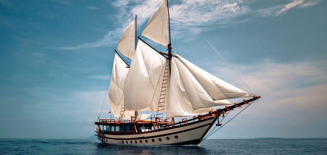 senja cruise